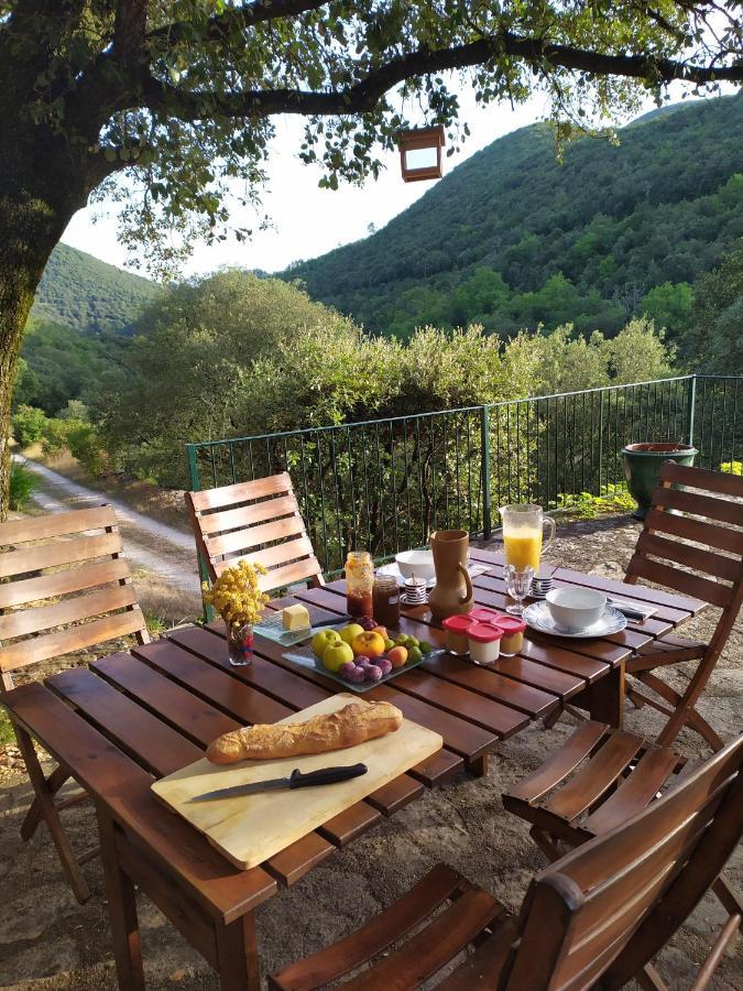 Chambre Cevennes: Piscine, Lamas, Riviere Cros  Экстерьер фото